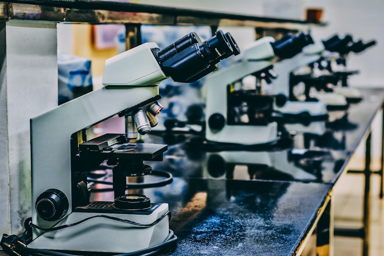 Scientists in the United States appeal to the population to stop the Trump administration's attacks on science and research