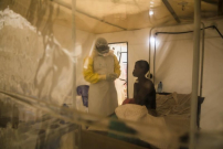 Ebola outbreak reaches 550 cases, at least 90 deaths