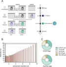 Airborne transmission efficiency of SARS-CoV-2 in Syrian hamsters is not influenced by environmental conditions