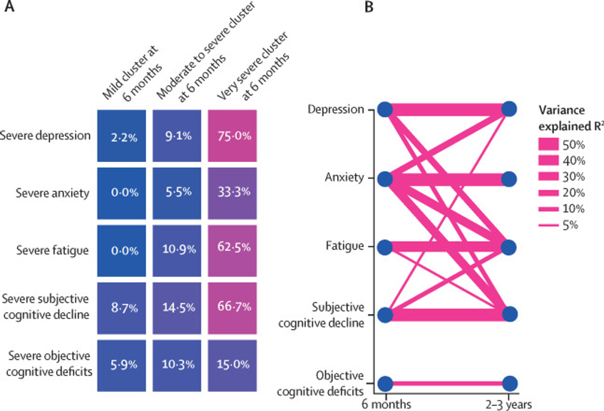 Cognitive and psychiatric symptom trajectories 2–3 years after hospital admission for COVID-19: a longitudinal, prospective cohort study in the UK