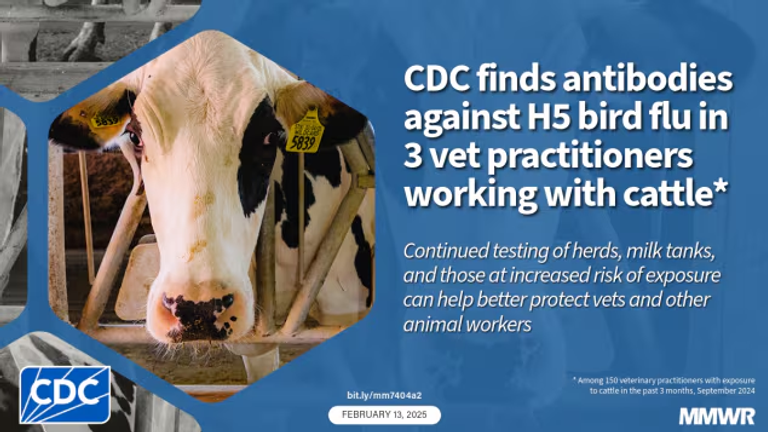 Notes from the Field: Seroprevalence of Highly Pathogenic Avian Influenza A(H5) Virus Infections Among Bovine Veterinary Practitioners — United States, September 2024