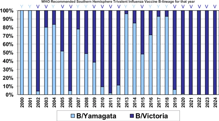 Implications of the apparent extinction of B/Yamagata-lineage human influenza viruses