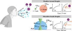 Measurements of Surrogate Respiratory Sessile Droplet pH and Implications for Exhaled Respiratory Aerosol and Airborne Disease Transmission