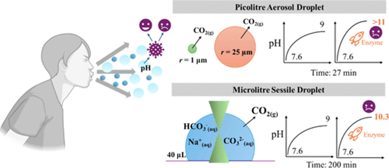 Measurements of Surrogate Respiratory Sessile Droplet pH and Implications for Exhaled Respiratory Aerosol and Airborne Disease Transmission