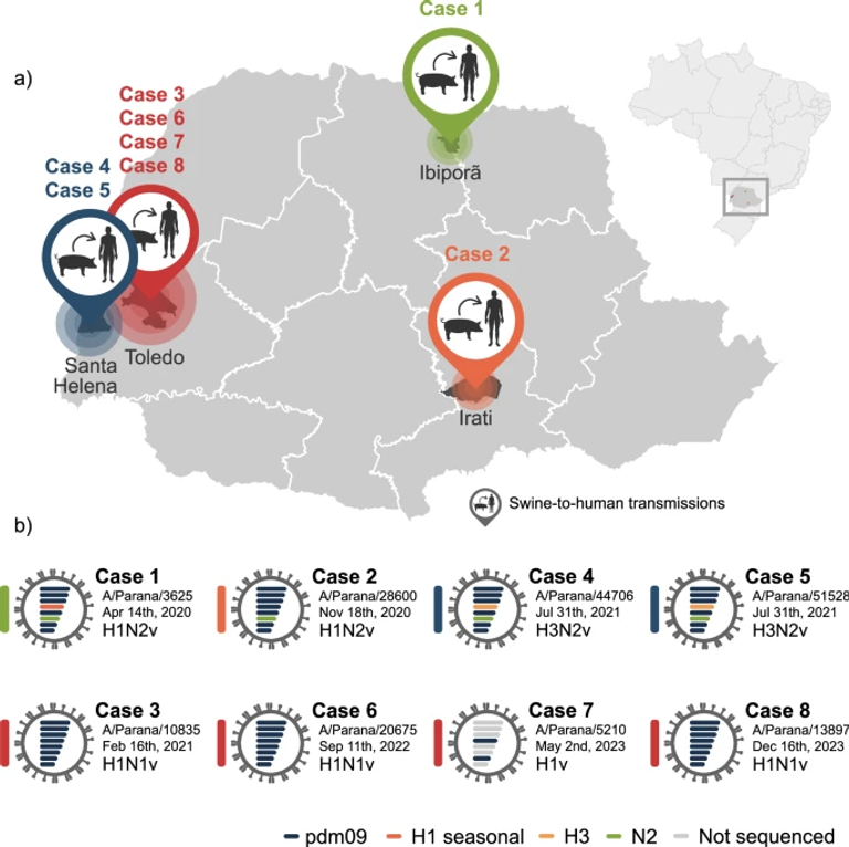 Zoonotic transmission of novel Influenza A variant viruses detected in Brazil during 2020 to 2023