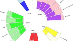 The cognitive and psychiatric subacute impairment in severe Covid-19