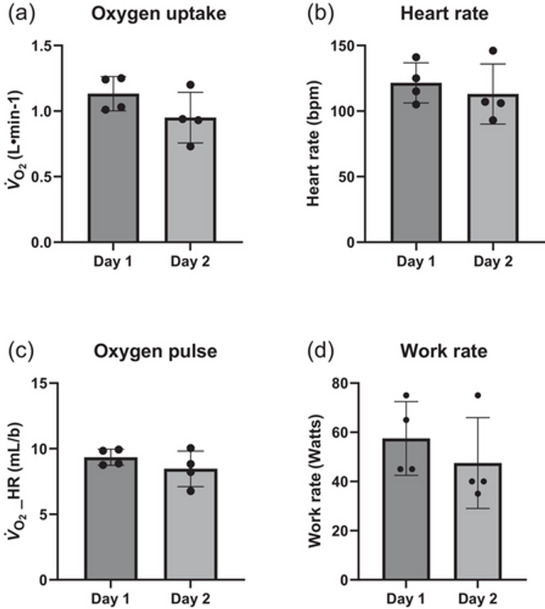 Submaximal 2-day cardiopulmonary exercise testing to assess exercise capacity and post-exertional symptom exacerbation in people with long COVID