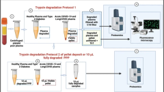 Persistent clotting protein pathology in Long COVID/Post-Acute Sequelae of COVID-19 (PASC) is accompanied by increased levels of antiplasmin