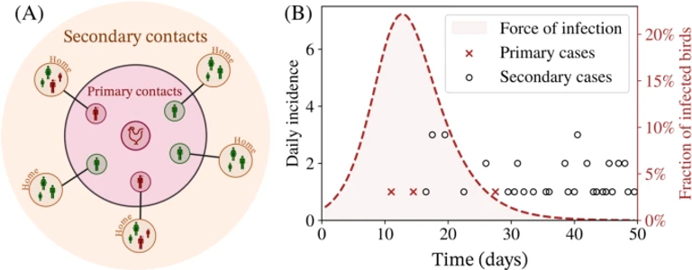 Modelling a potential zoonotic spillover event of H5N1 influenza