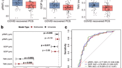 Subclinical neurovascular and immune correlates of post-COVID-19 syndrome detected by retinal imaging