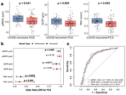 Subclinical neurovascular and immune correlates of post-COVID-19 syndrome detected by retinal imaging