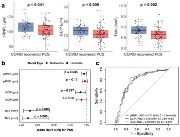 Subclinical neurovascular and immune correlates of post-COVID-19 syndrome detected by retinal imaging