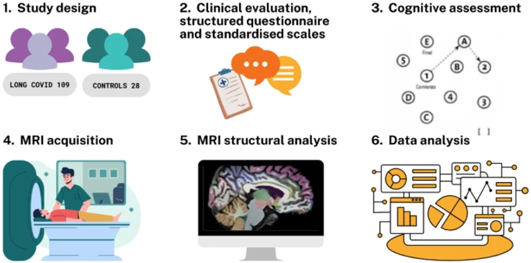 Cognitive impact and brain structural changes in long COVID patients: a cross-sectional MRI study two years post infection in a cohort from Argentina