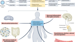 Long COVID science, research and policy