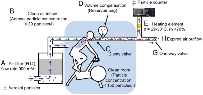 Aerosol particle emission increases exponentially above moderate exercise intensity resulting in superemission during maximal exercise