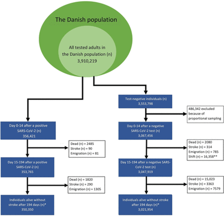 Short-term and long-term stroke risk following SARS-CoV-2 infection in relation to disease severity: a Danish national cohort study