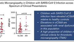 Evidence of thrombotic microangiopathy in children with SARS-CoV-2 across the spectrum of clinical presentations