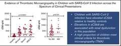 Evidence of thrombotic microangiopathy in children with SARS-CoV-2 across the spectrum of clinical presentations