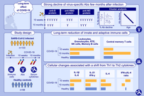 Differential decline of SARS-CoV-2-specific antibody levels, innate and adaptive immune cells, and shift of Th1/inflammatory to Th2 serum cytokine levels long after first COVID-19