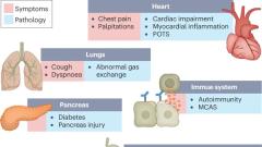 Long COVID: major findings, mechanisms and recommendations