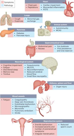 Long COVID: major findings, mechanisms and recommendations