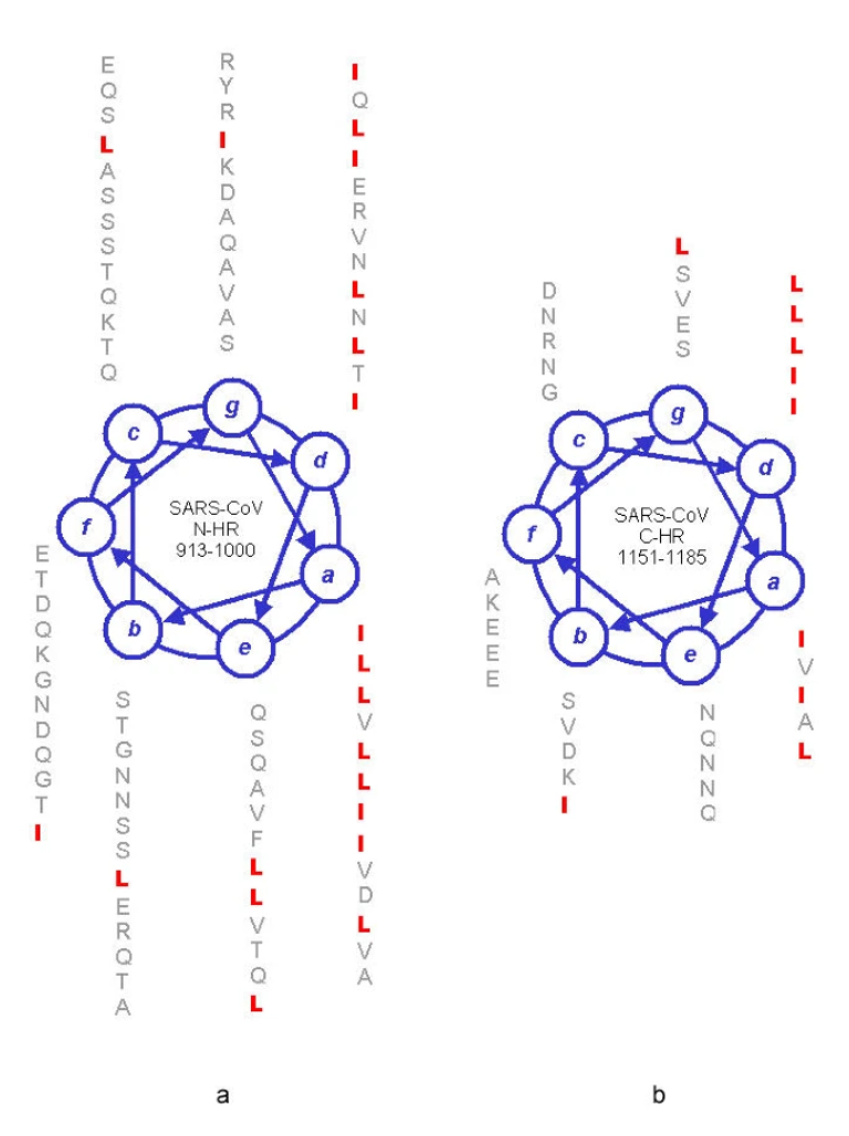 Cloaked similarity between HIV-1 and SARS-CoV suggests an anti-SARS strategy
