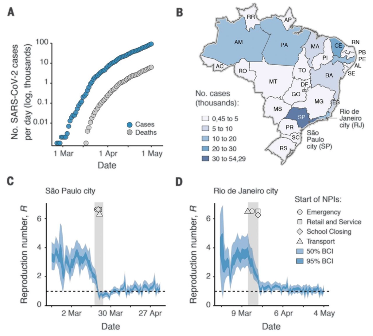 Evolution and epidemic spread of SARS-CoV-2 in Brazil