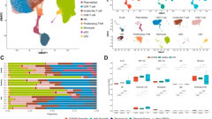 A single-cell atlas reveals shared and distinct immune responses and metabolic profiles in SARS-CoV-2 and HIV-1 infections