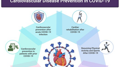 Cardiovascular disease prevention and management in COVID-19: a clinical consensus statement of the European Association of Preventive Cardiology, the European Association of Cardiovascular Imaging, the Association of Cardiovascular Nursing & Allied Professions, the European Association of Percutaneous Cardiovascular Interventions, and the Heart Failure Association of the ESC
