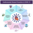 Cardiovascular disease prevention and management in COVID-19: a clinical consensus statement of the European Association of Preventive Cardiology, the European Association of Cardiovascular Imaging, the Association of Cardiovascular Nursing & Allied Professions, the European Association of Percutaneous Cardiovascular Interventions, and the Heart Failure Association of the ESC