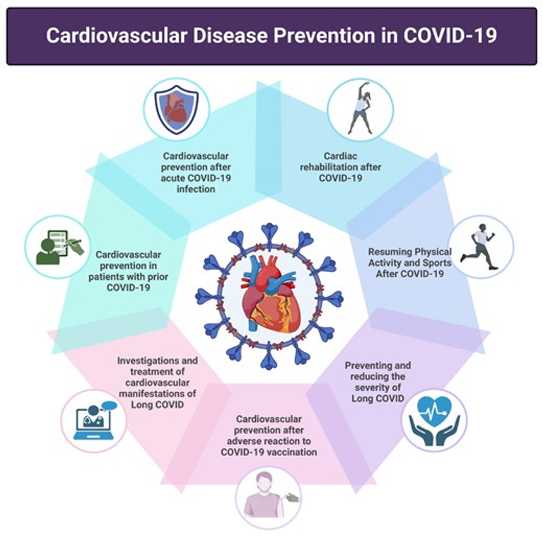 Cardiovascular disease prevention and management in COVID-19: a clinical consensus statement of the European Association of Preventive Cardiology, the European Association of Cardiovascular Imaging, the Association of Cardiovascular Nursing & Allied Professions, the European Association of Percutaneous Cardiovascular Interventions, and the Heart Failure Association of the ESC