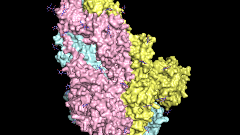 New autumn COVID-19 spike as UK government continues to limit access to free vaccines