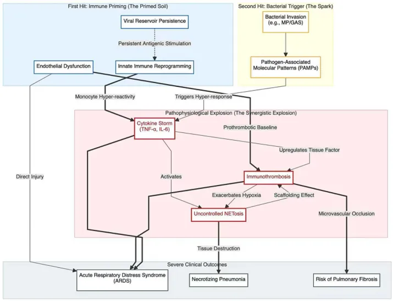 The “two-hit” storm: a hyper-inflammatory endotype in pediatric long COVID and its role in the severity of secondary bacterial pneumonia—a mechanistic review and clinical implications