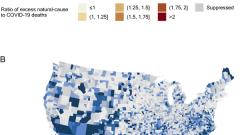 Excess natural-cause mortality in US counties and its association with reported COVID-19 deaths