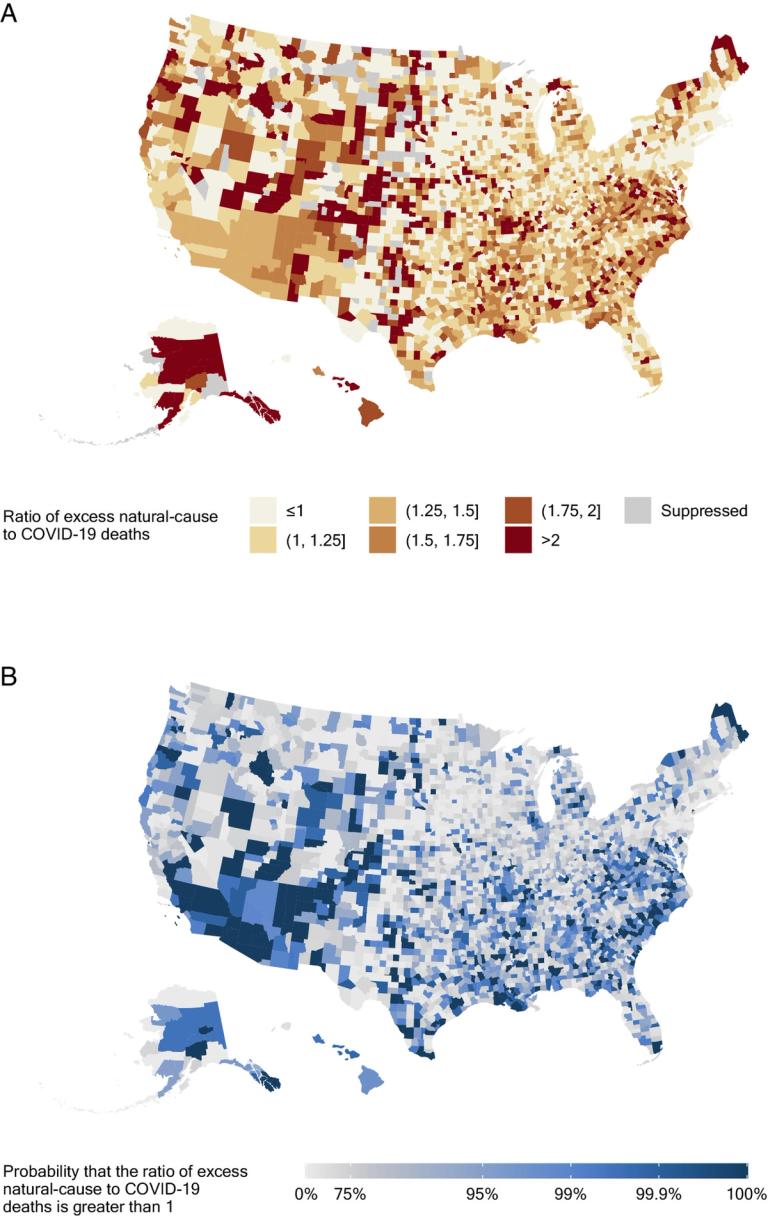 Excess natural-cause mortality in US counties and its association with reported COVID-19 deaths