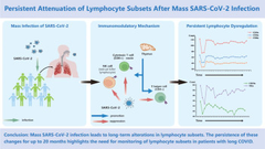 Persistent Attenuation of Lymphocyte Subsets After Mass SARS-CoV-2 Infection