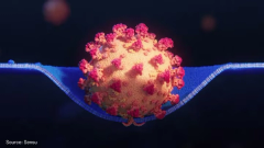 Covid for Doctors - Dr Nancy Malek