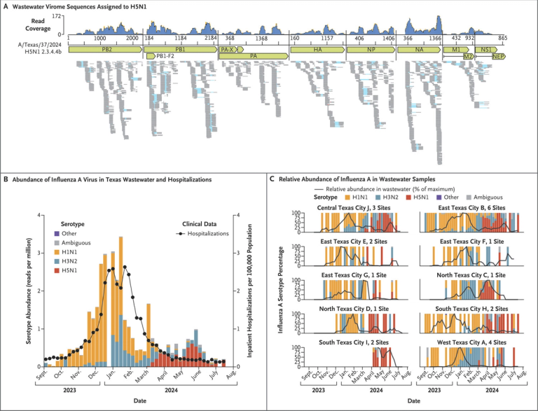 Sequencing-Based Detection of Avian Influenza A(H5N1) Virus in Wastewater in Ten Cities