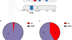 Severe COVID-19 induces prolonged elevation of the acute-phase protein pentraxin 3