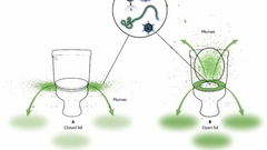 Impacts of lid closure during toilet flushing and of toilet bowl cleaning on viral contamination of surfaces in United States restrooms