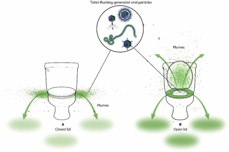 Impacts of lid closure during toilet flushing and of toilet bowl cleaning on viral contamination of surfaces in United States restrooms