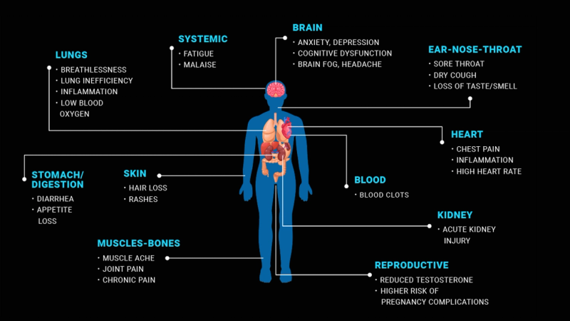 An assessment of the ongoing toll of the COVID-19 pandemic