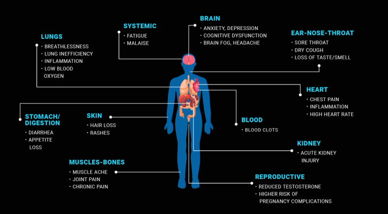 An assessment of the ongoing toll of the COVID-19 pandemic