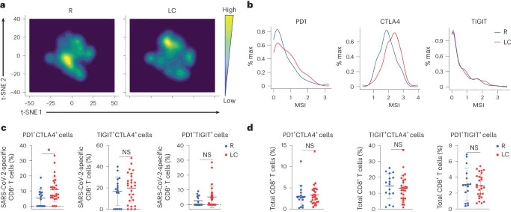 Long COVID manifests with T cell dysregulation, inflammation and an uncoordinated adaptive immune response to SARS-CoV-2