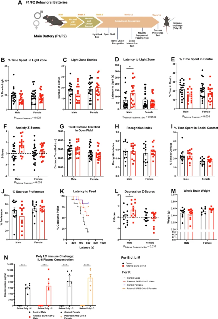 Paternal SARS-CoV-2 infection impacts sperm small noncoding RNAs and increases anxiety in offspring in a sex-dependent manner
