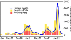 The Transmission of SARS-CoV-2 from COVID-19-Diagnosed People to Their Pet Dogs and Cats in a Multi-Year Surveillance Project