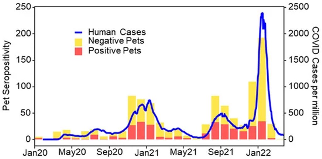 The Transmission of SARS-CoV-2 from COVID-19-Diagnosed People to Their Pet Dogs and Cats in a Multi-Year Surveillance Project