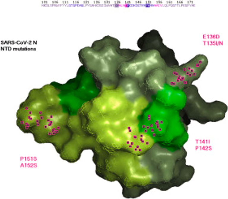 Acquired Immune Deficiency Syndrome correlation with SARS-CoV-2 N genotypes