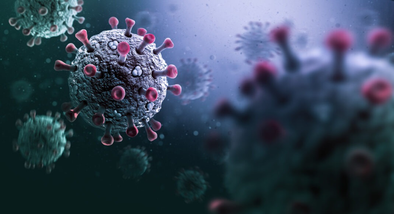 Intranasal vaccine stops infection at the source