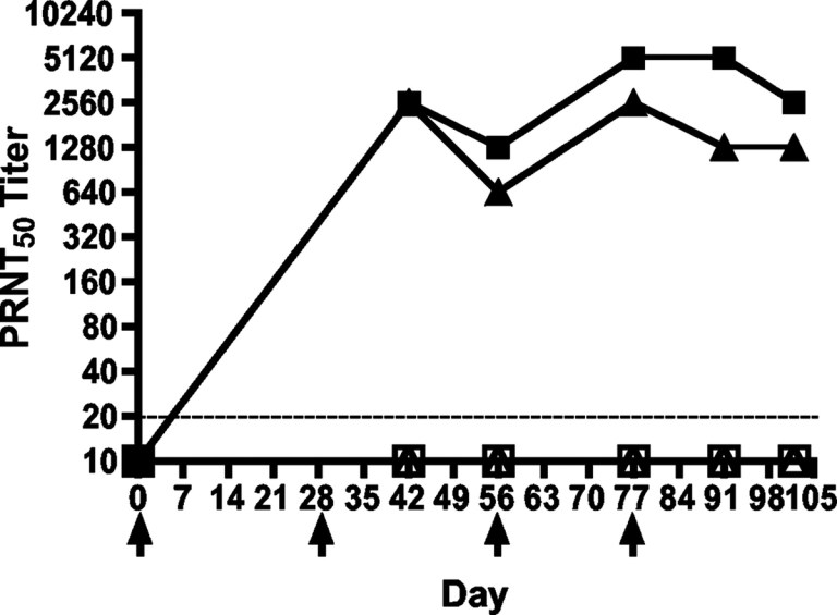 Immune Serum Produced by DNA Vaccination Protects Hamsters against Lethal Respiratory Challenge with Andes Virus